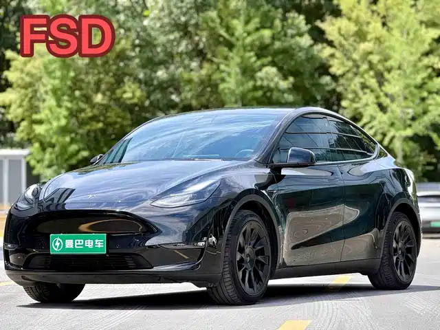 Tesla Model Y 2021