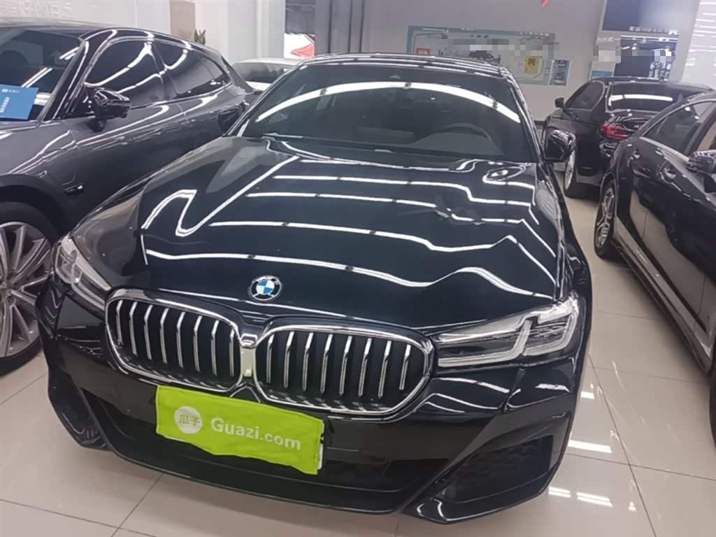 BMW 5 Series New Energy