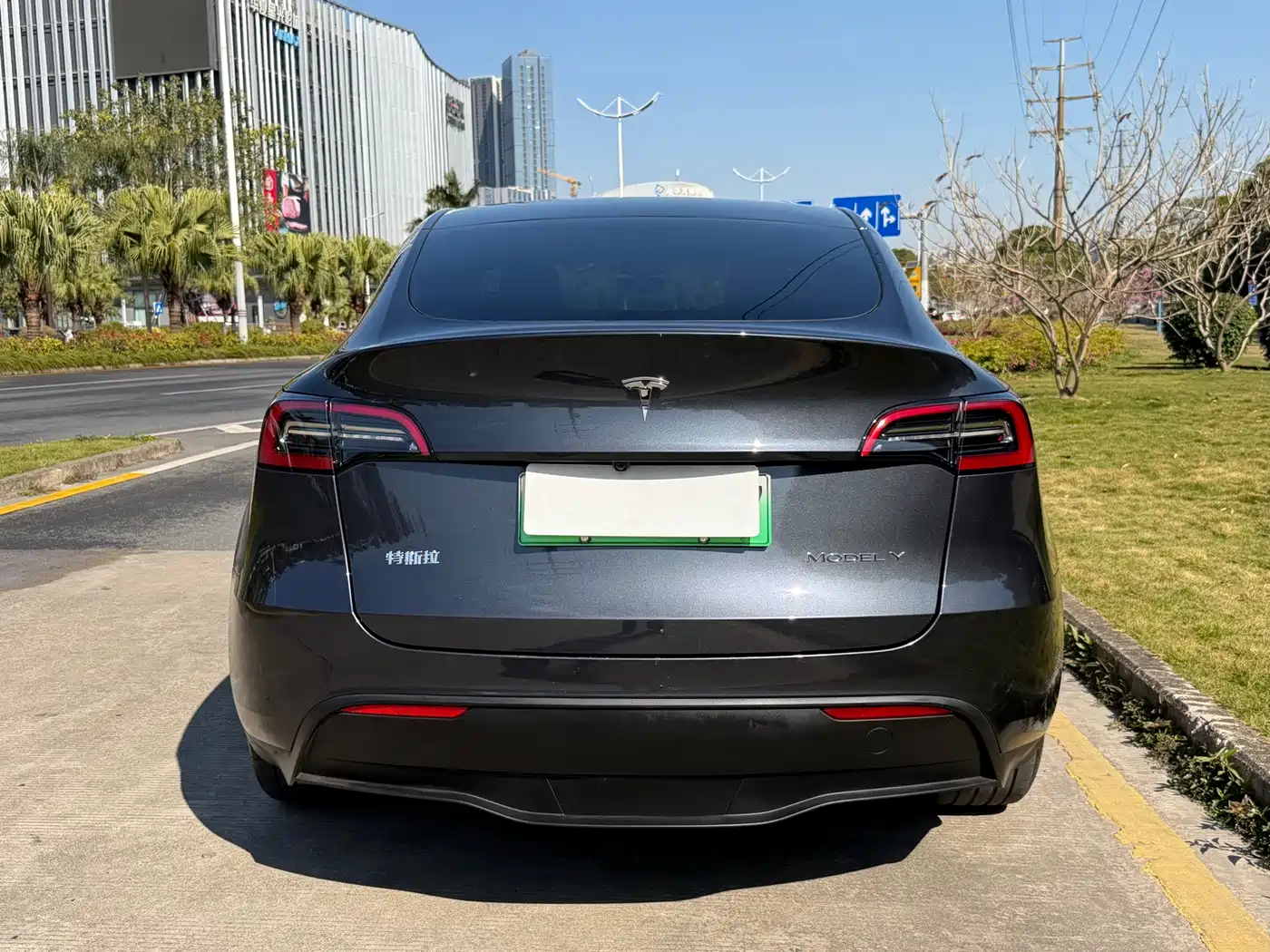 TESLA MODEL Y