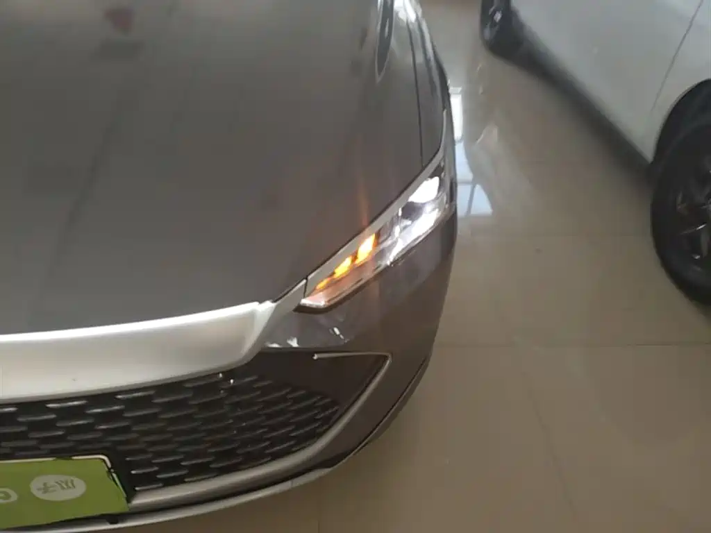 BYD Qin PLUS 2023 Champion Edition DM-i 55KM Leading фото 24