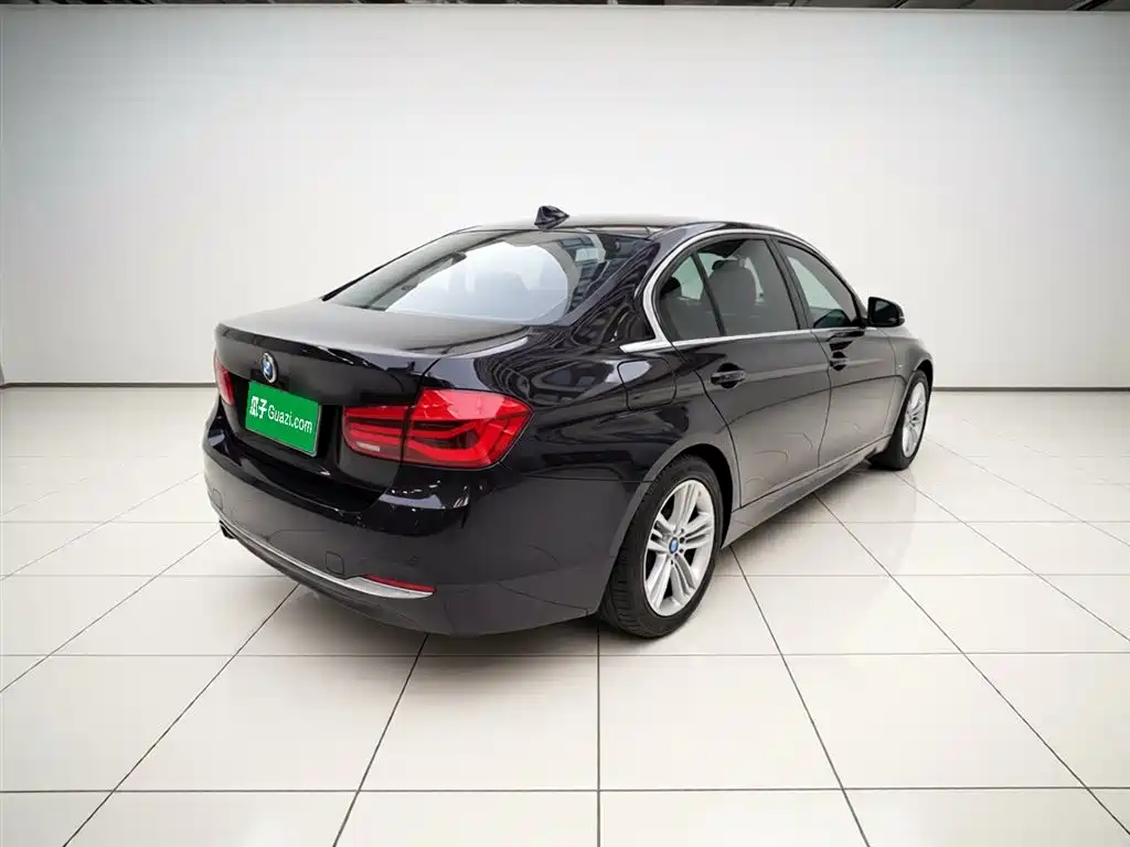 BMW 3 Series 2016 320Li Progressive фото 4