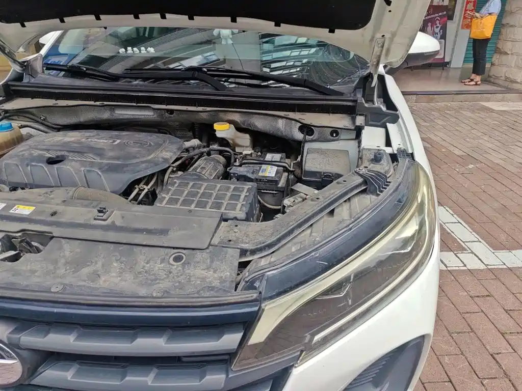 GAC Trumpchi Trumpchi GS4 2020 270T Automatic Elite Tech Version фото 23