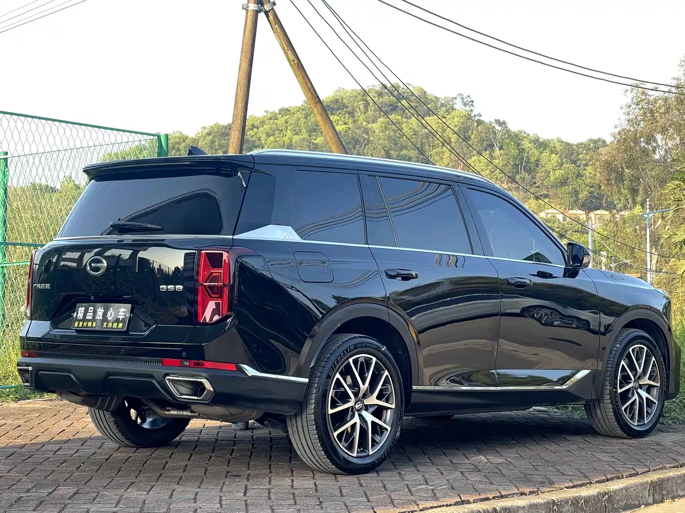 GAC Trumpchi Trumpchi GS8 2022 Pilot Series 2.0TGDI 2WD Luxury Smart Connect Edition (7-Seater) фото 7