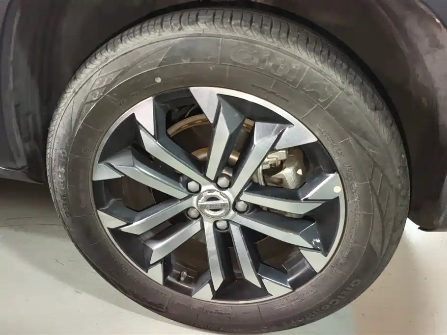 Haval Big Dog 2021 1.5T DCT 2WD Border Collie Edition фото 6