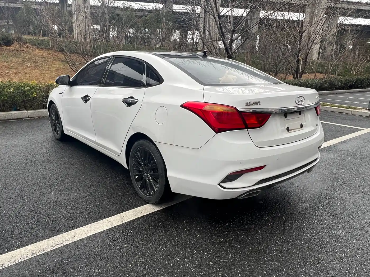 HYUNDAI NAME PICTURE