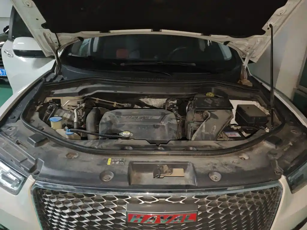 Haval H2s 2018 2018 Red Label 1.5T DCT Fashion Type
