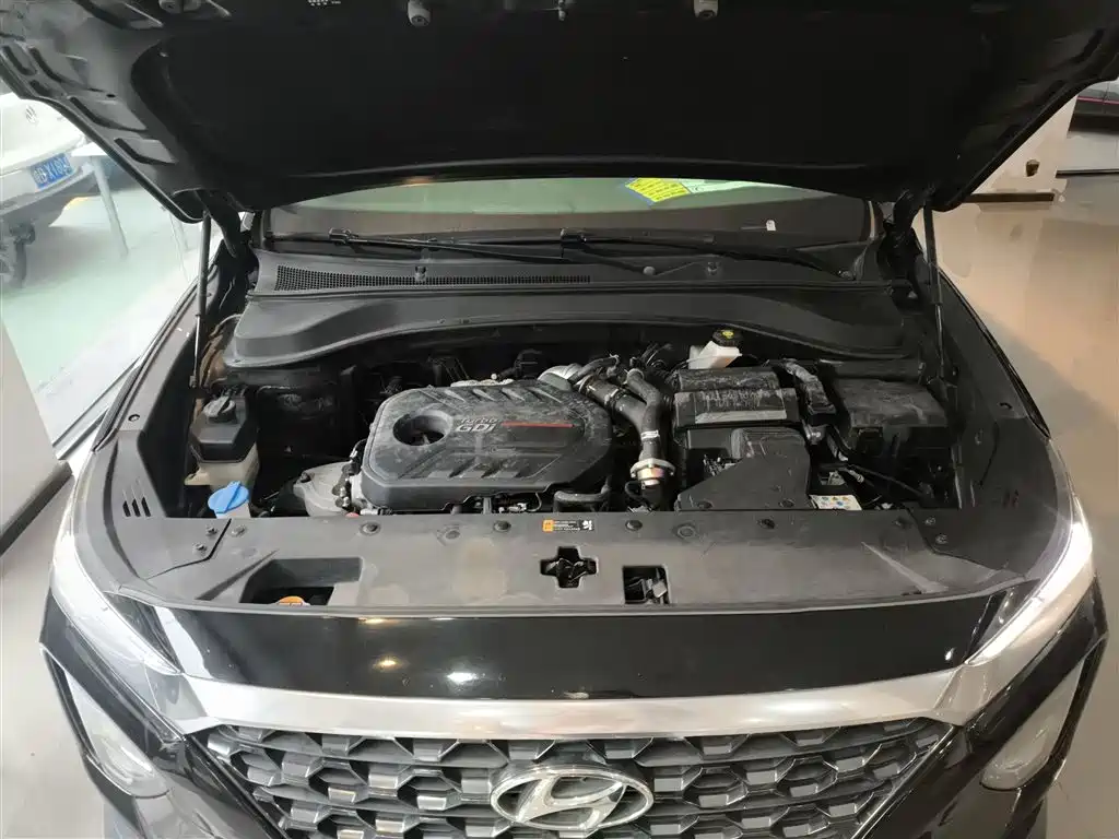 Hyundai Santa Fe 2019 380 TGDi GLS Automatic 2WD Luxury Edition China VI фото 16
