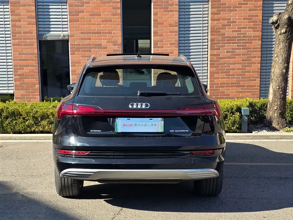 AUDI E TRON