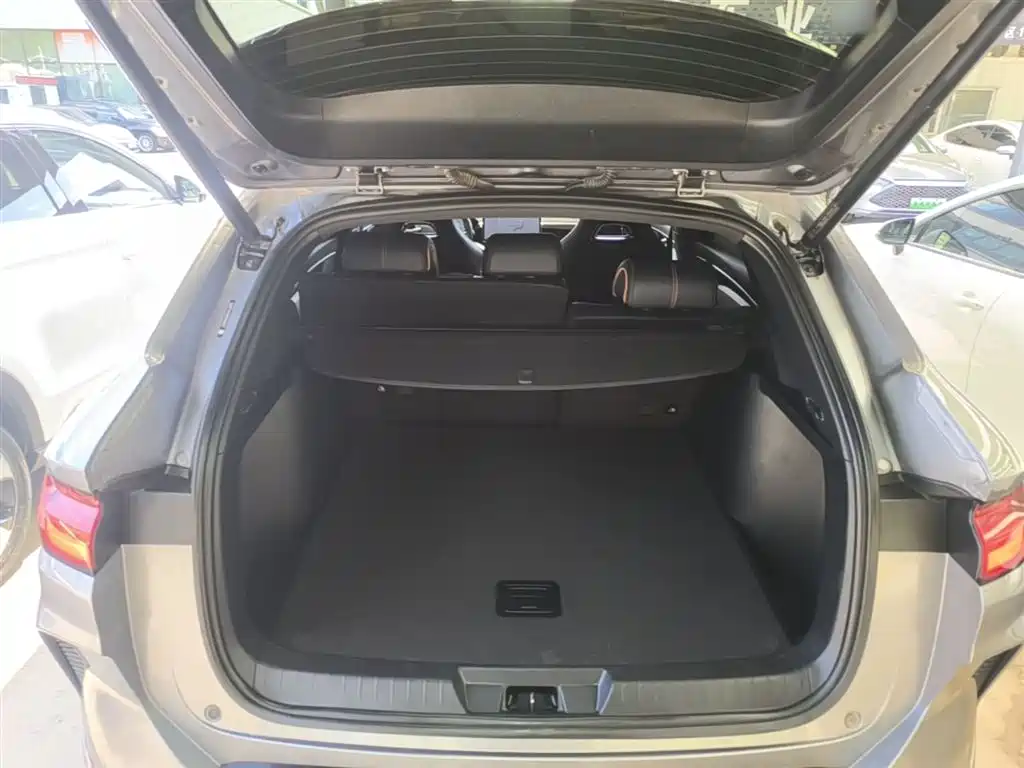 BYD Song PLUS PHEV 2024 Glory Edition DM-i 110km Flagship фото 19