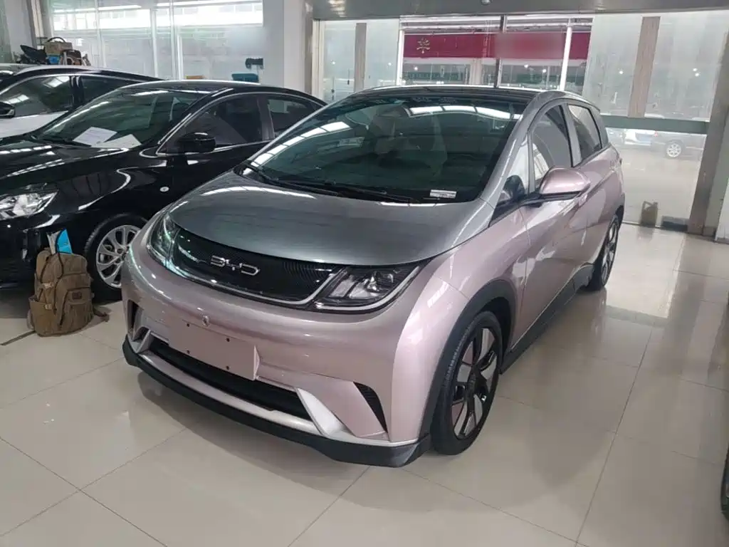 BYD Dolphin 2022 2021 401km Knight Edition