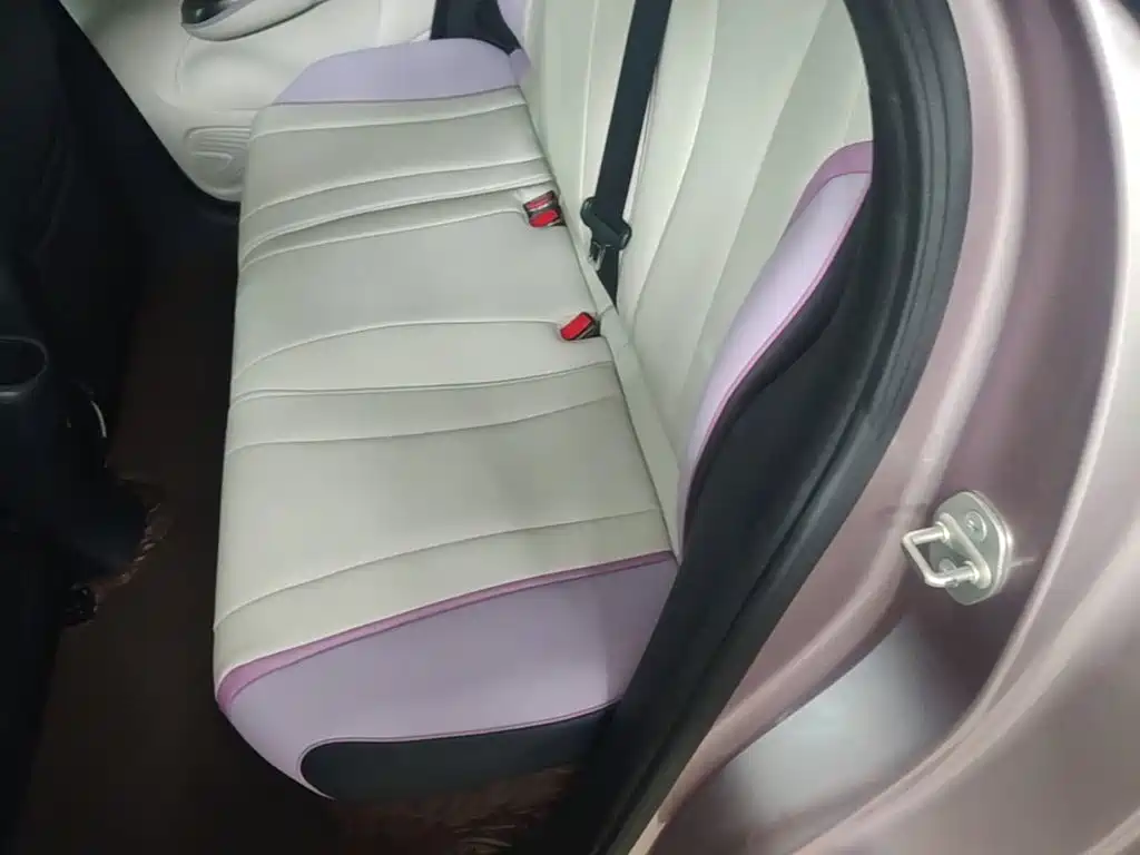 BYD Dolphin 2022 2021 401km Knight Edition