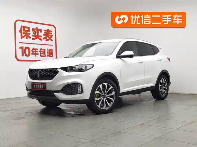 WEI PAI WEI BRAND VV6