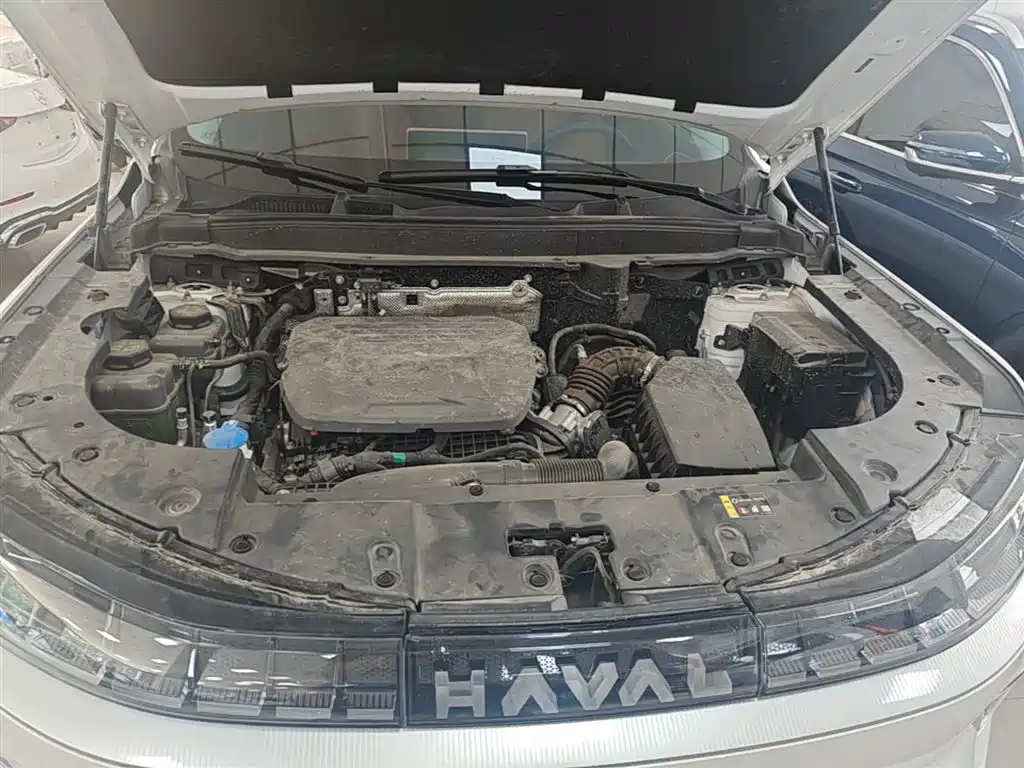 Haval Xiaolong MAX 2025 Hi4 165 Ultra Smart Drive Edition фото 20