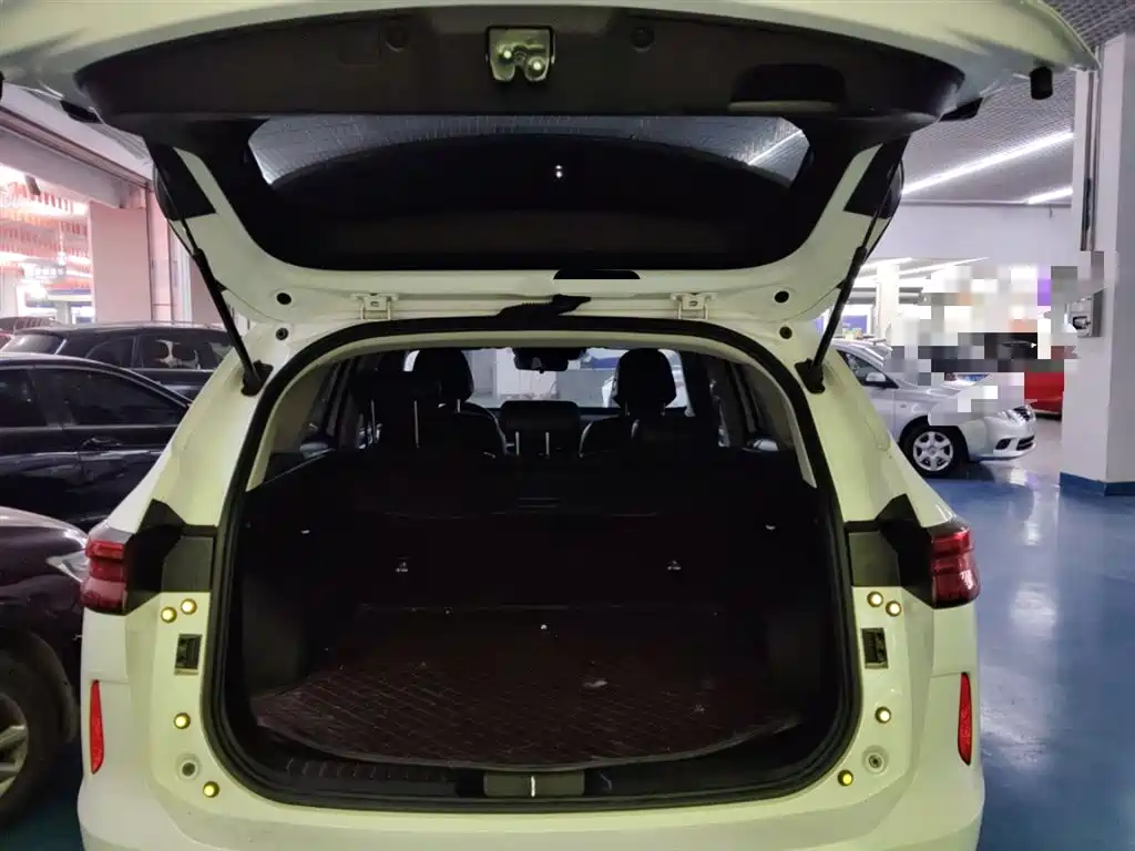 Haval H6 2021 3rd Generation 2.0T Auto 2WD Max фото 19
