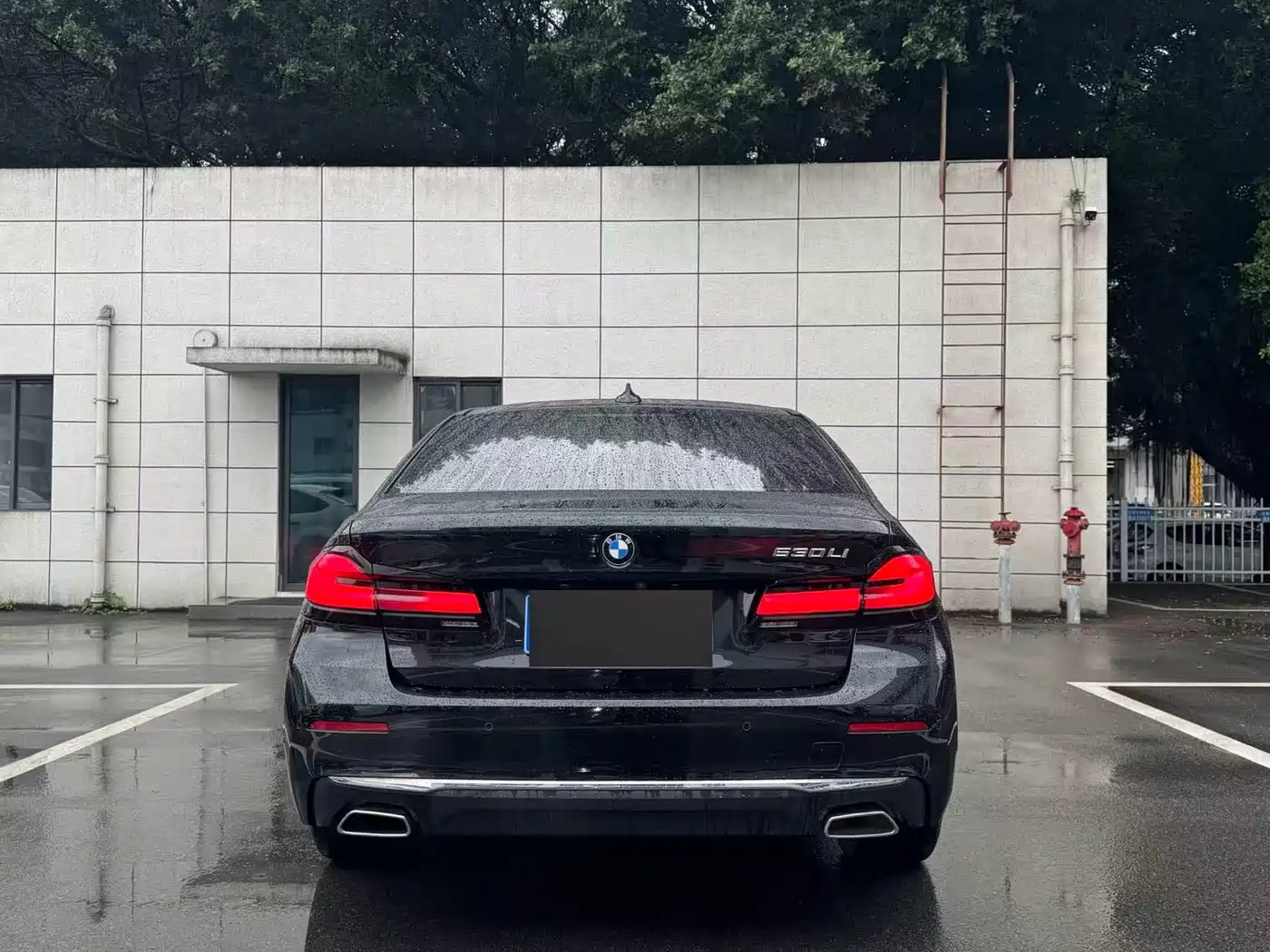 BMW 5 Series 2021 530Li Premium Luxury Package фото 9