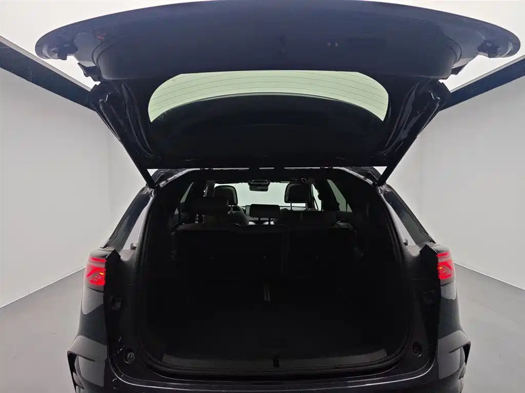 BYD Tang New Energy 2025 DM-i 115KM Cloud Chariot Flagship фото 19