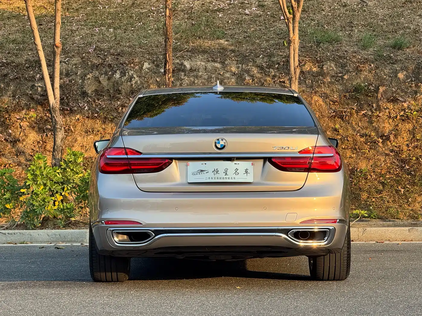 BMW 7 Series 2018 730Li Premium Type Excellence Package фото 8