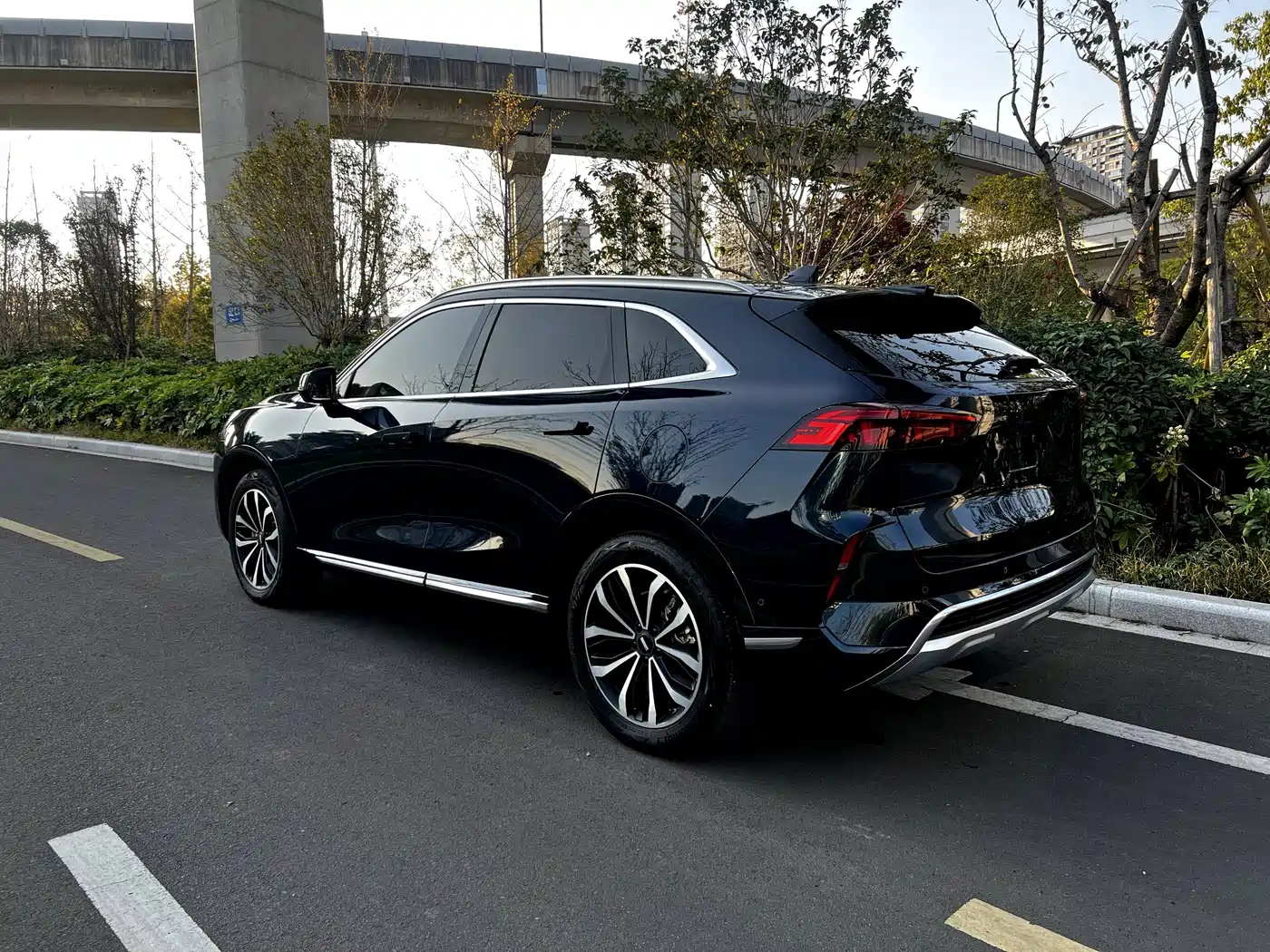 WEY Mocha 2021 2021 2.0T 2WD Premium Edition