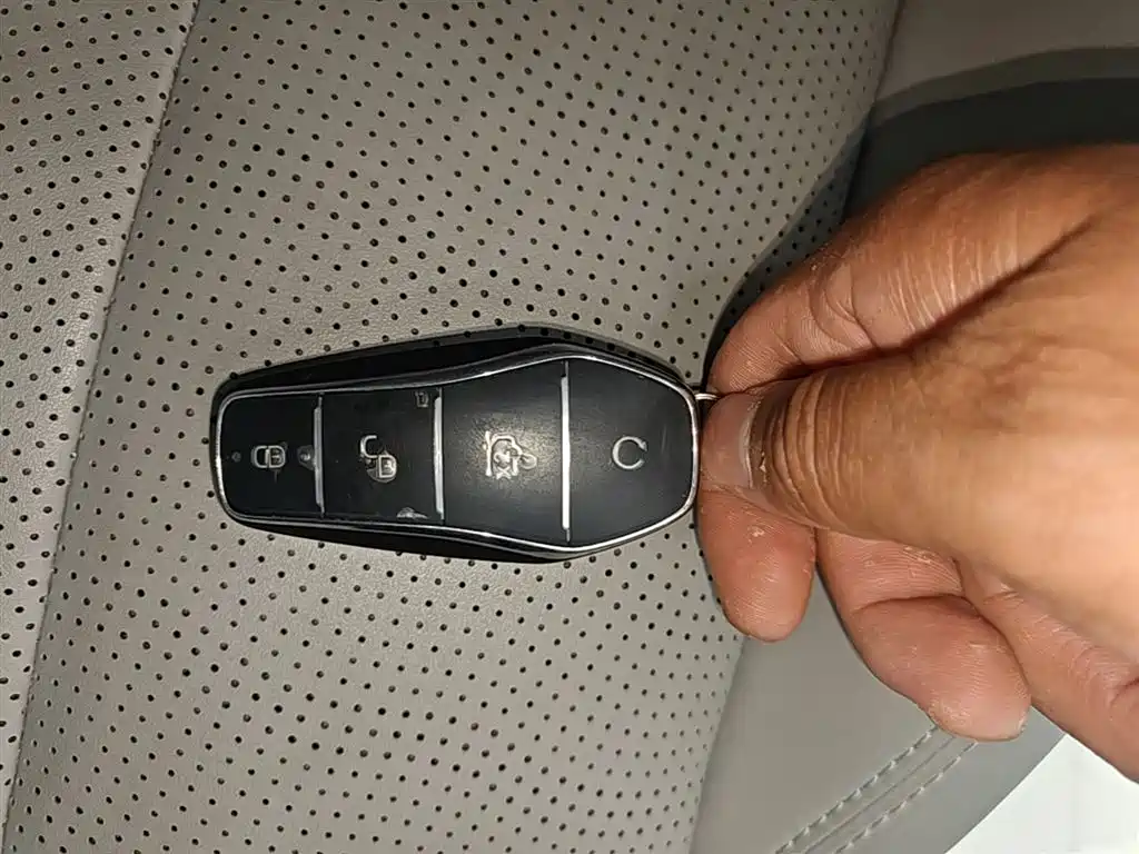 BYD Hai Shi 05 EV 2025 520KM Smart Navigation Edition фото 9