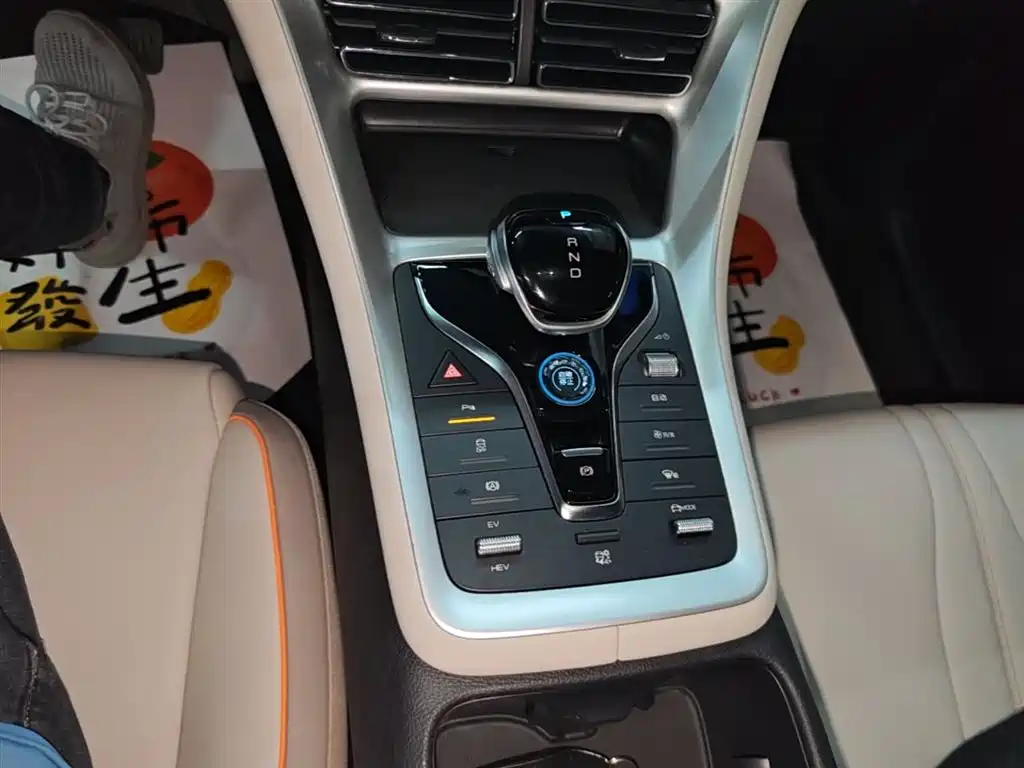 BYD Song Pro New Energy 2024 Glory Edition DM-i 71KM Pilot фото 14