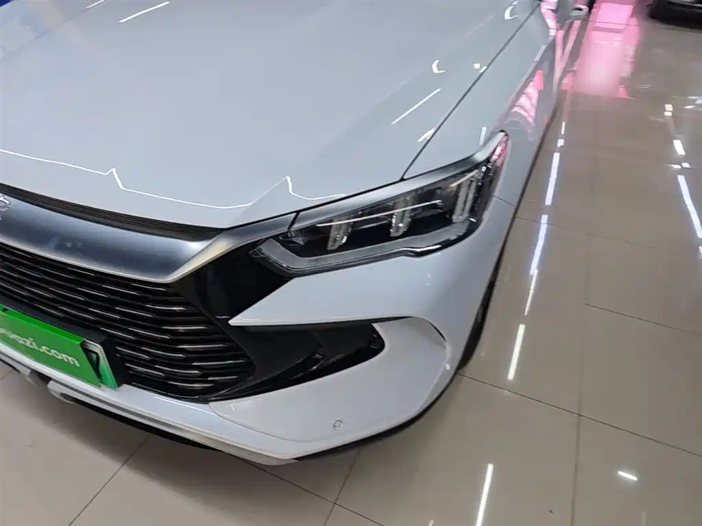 BYD Song Pro New Energy 2024 Glory Edition DM-i 71KM Pilot фото 24