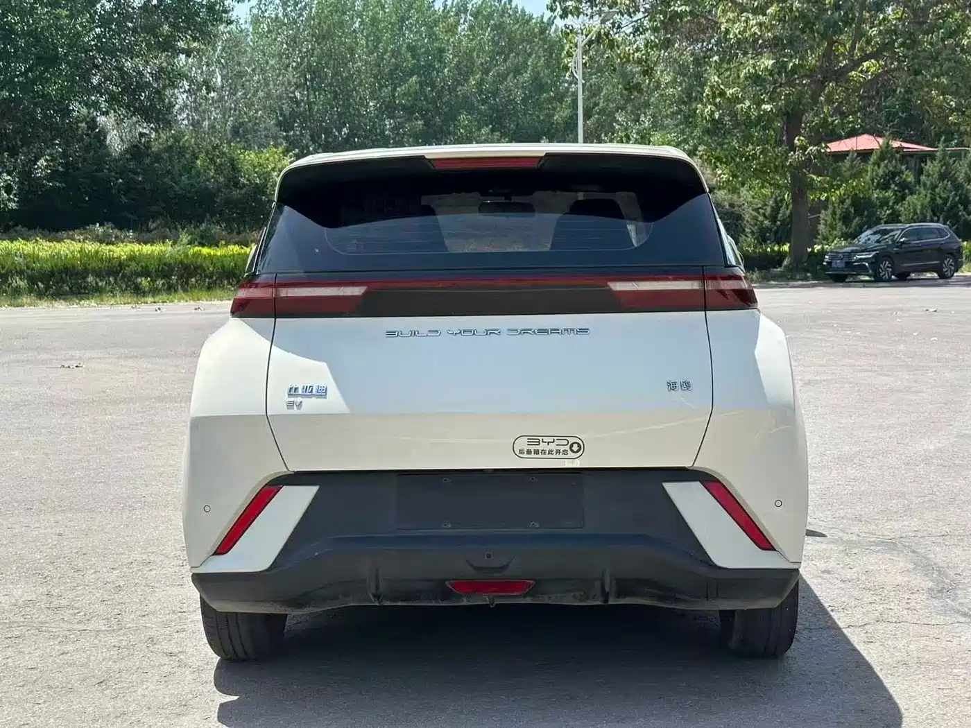 BYD Seagull 2024 Glory Edition 305km Vitality Edition фото 9