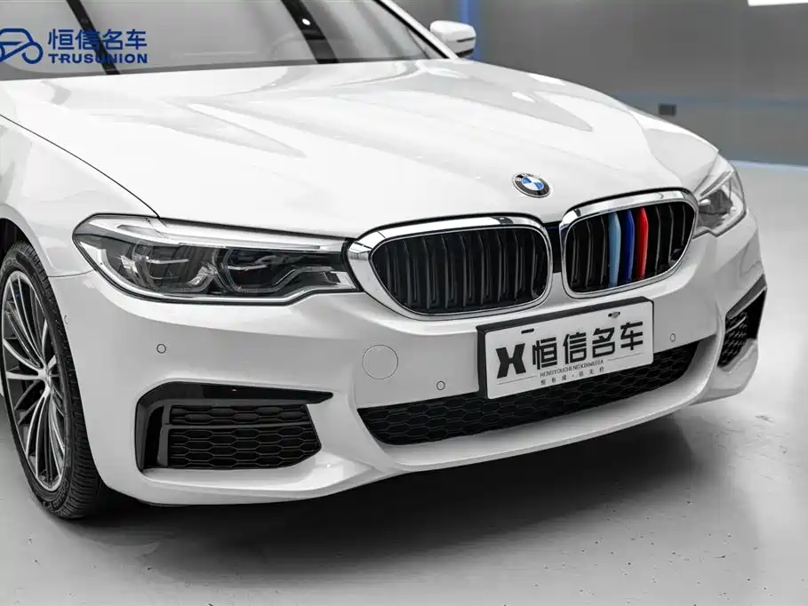 BMW 5 Series 2020 530Li Leading M Sport Package фото 9