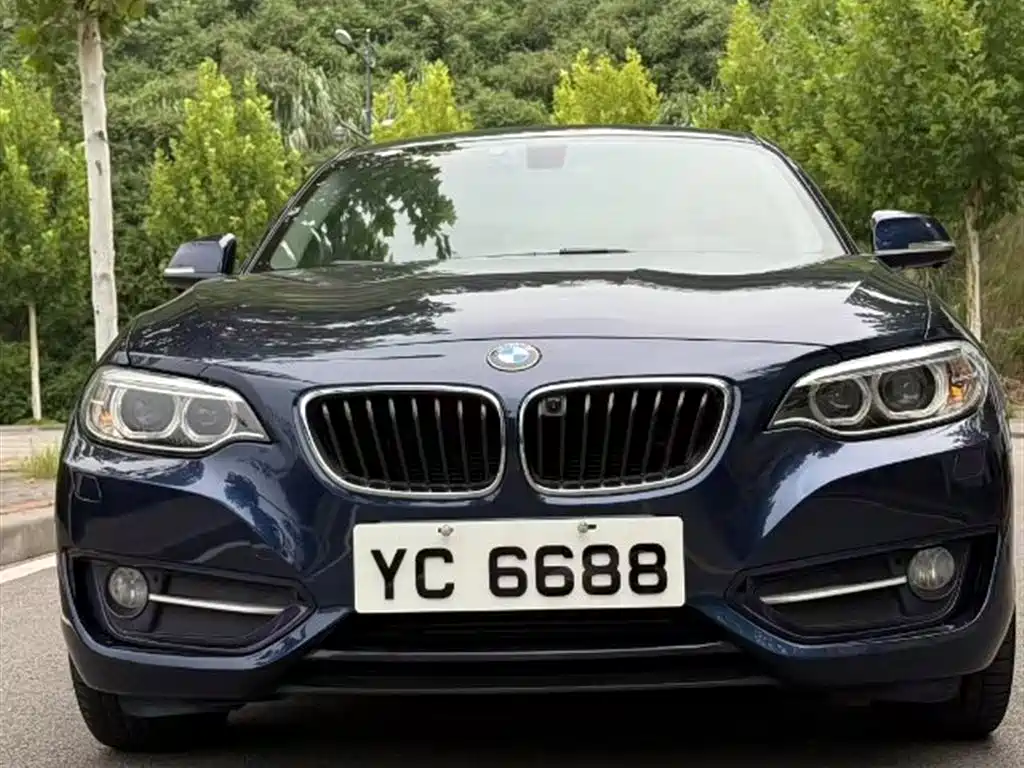 BMW 2 Series (Import) 2014 220i Leading фото 3
