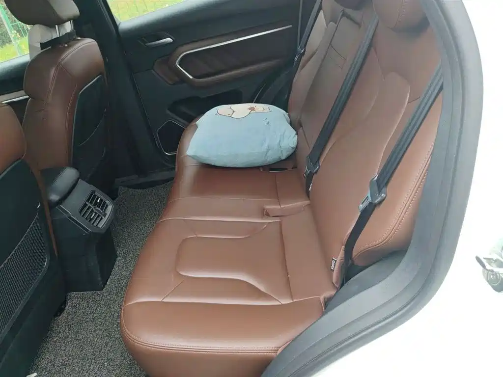 Haval H6 2017 Blue Label 1.5T Automatic 2WD Smart Style фото 13