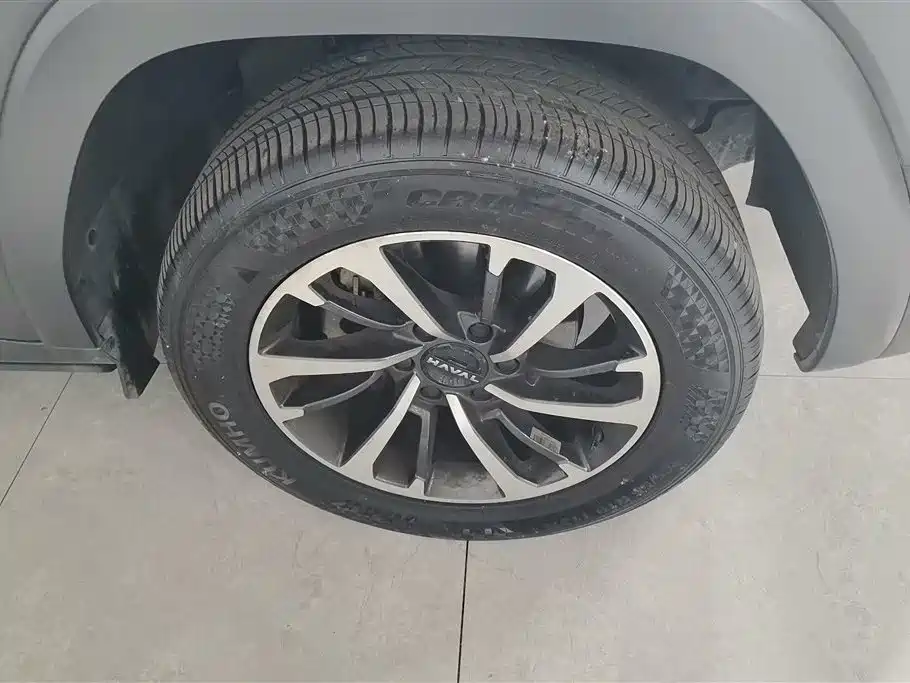 Haval H9 2024 2.0T Gasoline AWD Extreme Edition фото 6