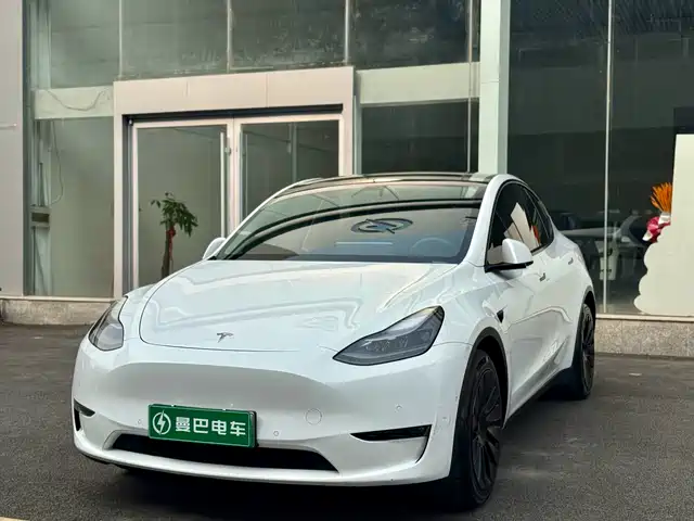 Tesla Model Y Увеличенный запас хода, полный привод