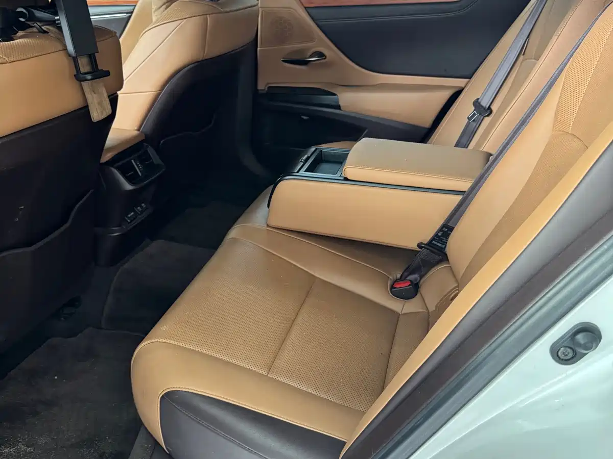 Lexus ES 2021 200 Excellence Edition фото 6