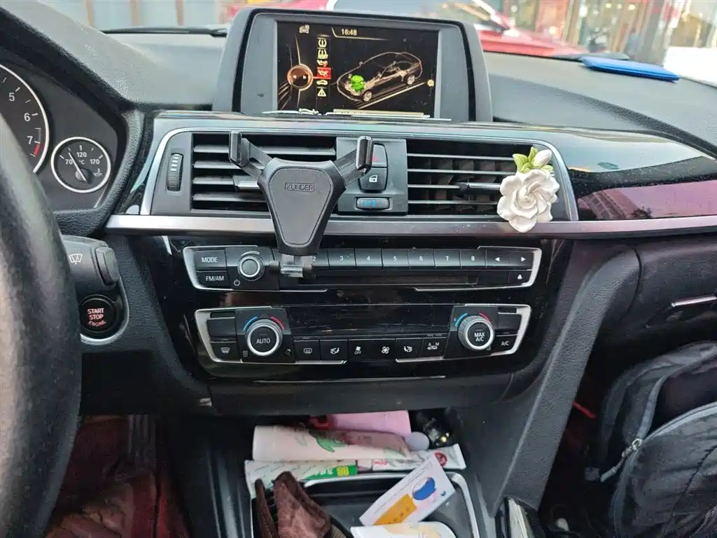 BMW 3 Series 2016 320Li Progressive фото 9