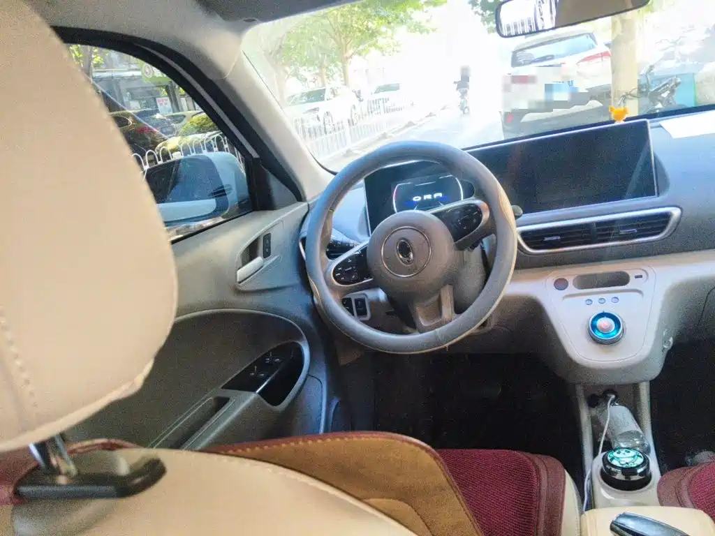 Ora White Cat 2020 2020 360km Luxury Model