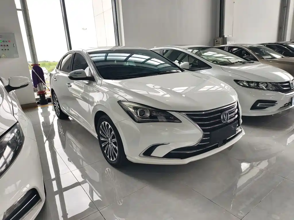Фото 4 - Changan Eado
