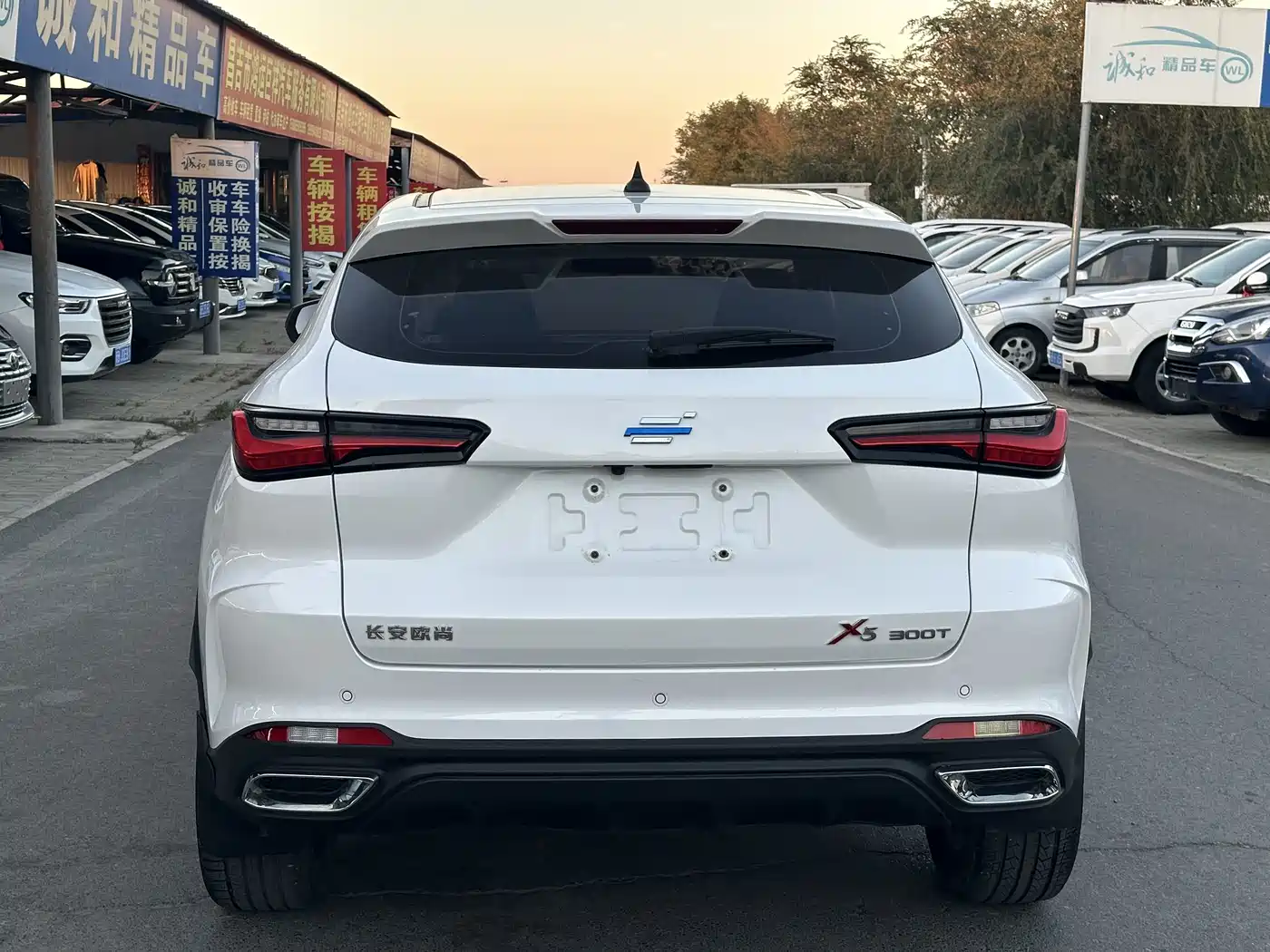 Changan Oshan Changan Oushang X5 2022 2021 Facelift 1.5T DCT Luxury
