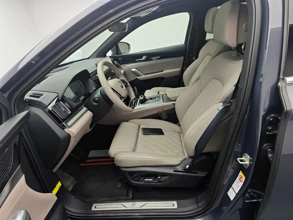 BYD Tang New Energy 2025 DM-i 115KM Cloud Chariot Flagship фото 15
