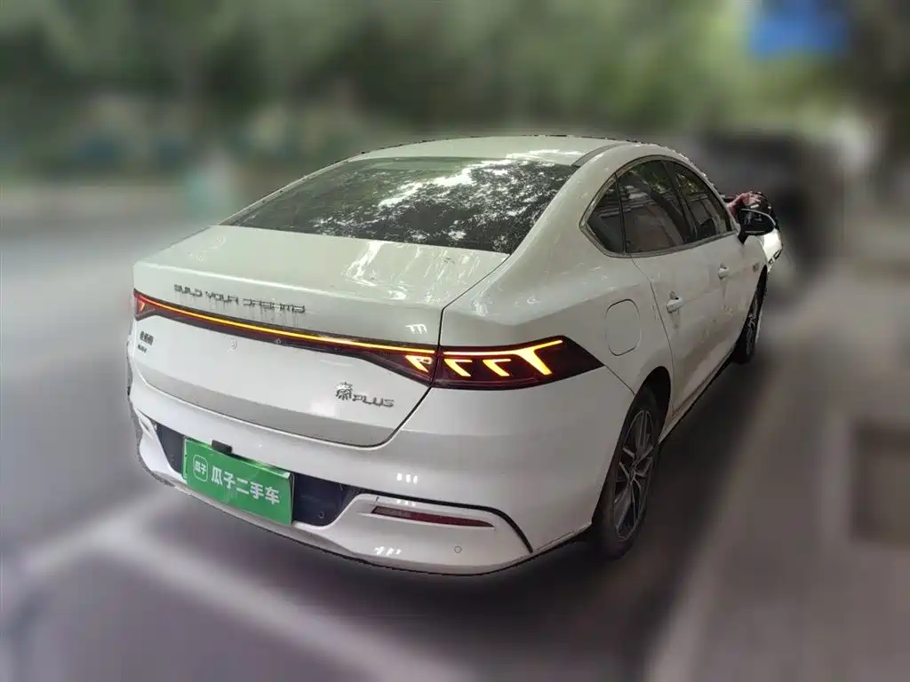 BYD Qin PLUS 2021 DM-i 55KM Flagship фото 6