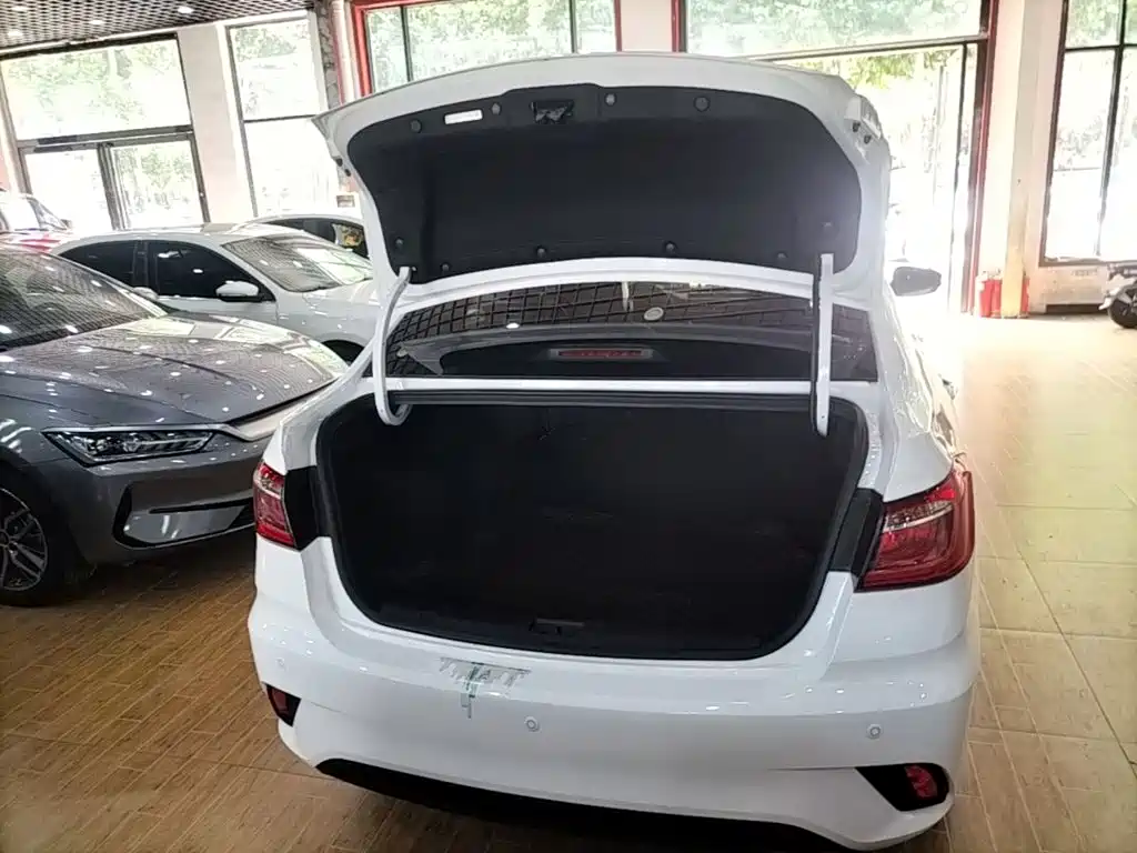 Фото 19 - Changan Eado DT