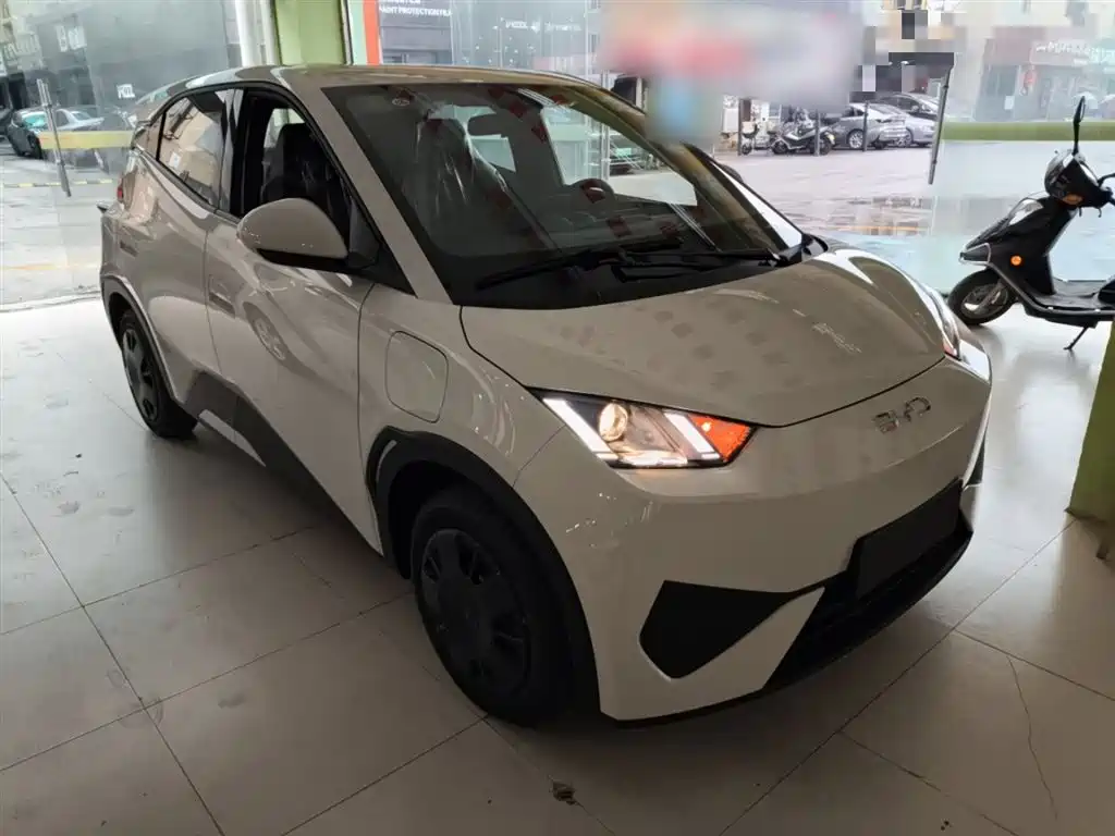 BYD Seagull 2025 Smart Drive Edition 305km Vitality Version фото 4