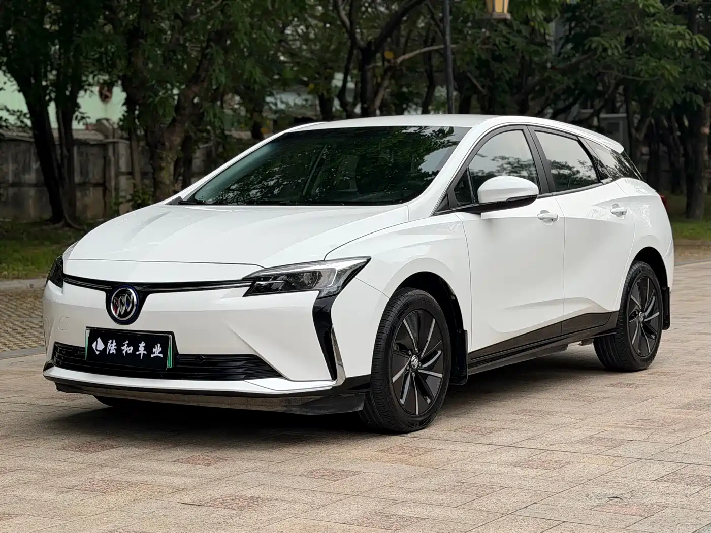 Buick Velite 6 2023 430km Travel Edition