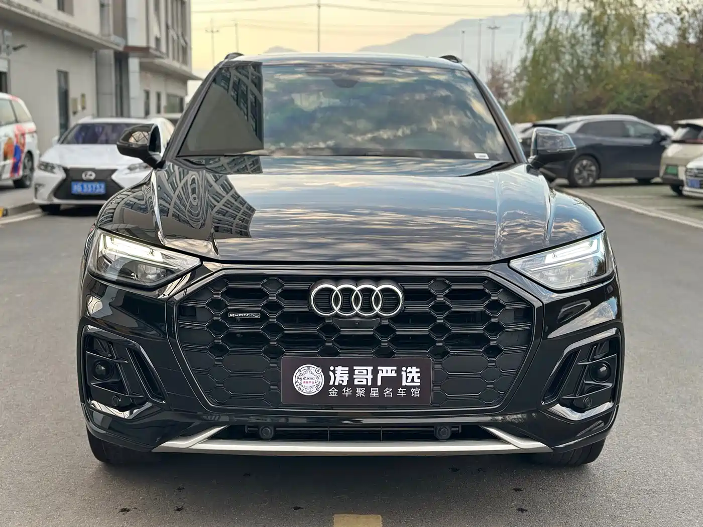 Audi Q5L 2025 45 TFSI Luxury Dynamic фото 2