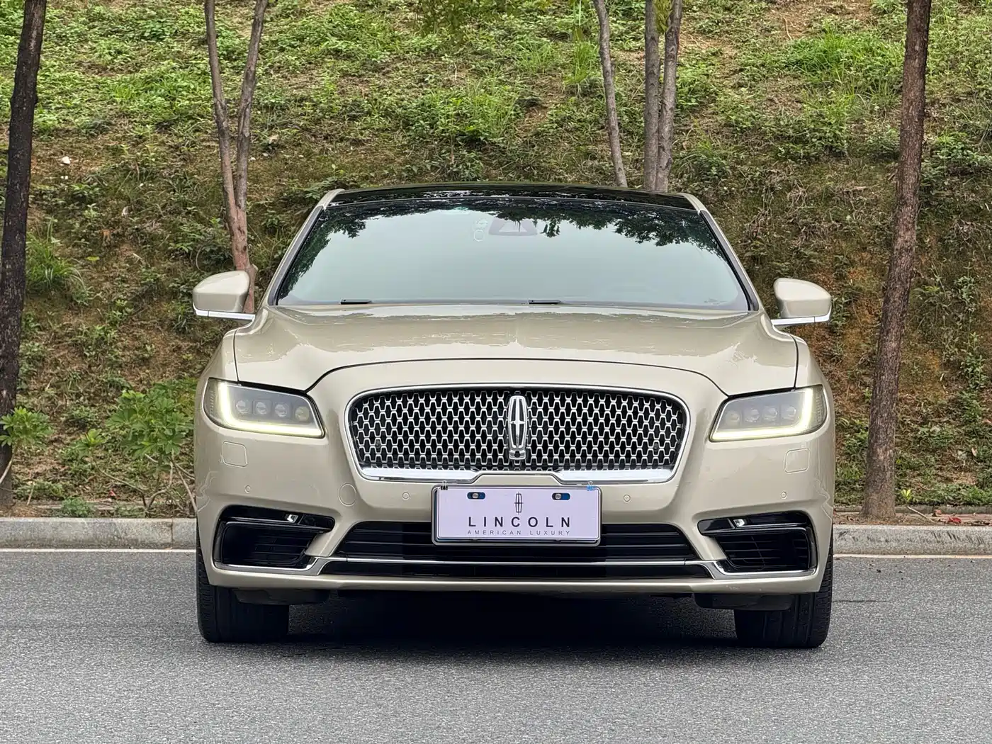 Lincoln Continental 2017 3.0T AWD Prestige Edition фото 2