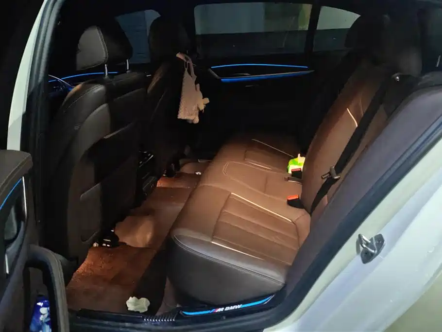 BMW 5 Series New Energy 2021 535Le M Sport Package фото 11