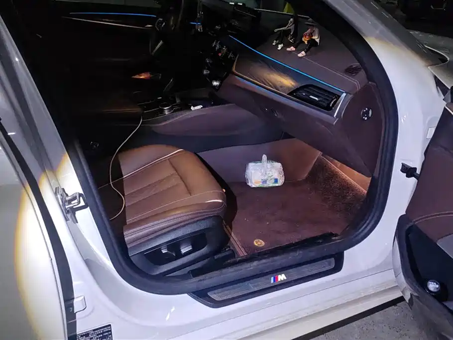 BMW 5 Series New Energy 2021 535Le M Sport Package фото 8