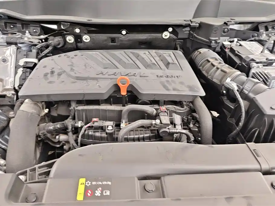 Haval Big Dog 2021 1.5T DCT 2WD Border Collie Edition фото 9