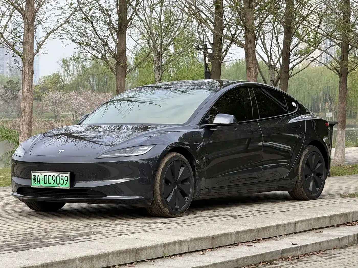 Tesla Model 3 2025