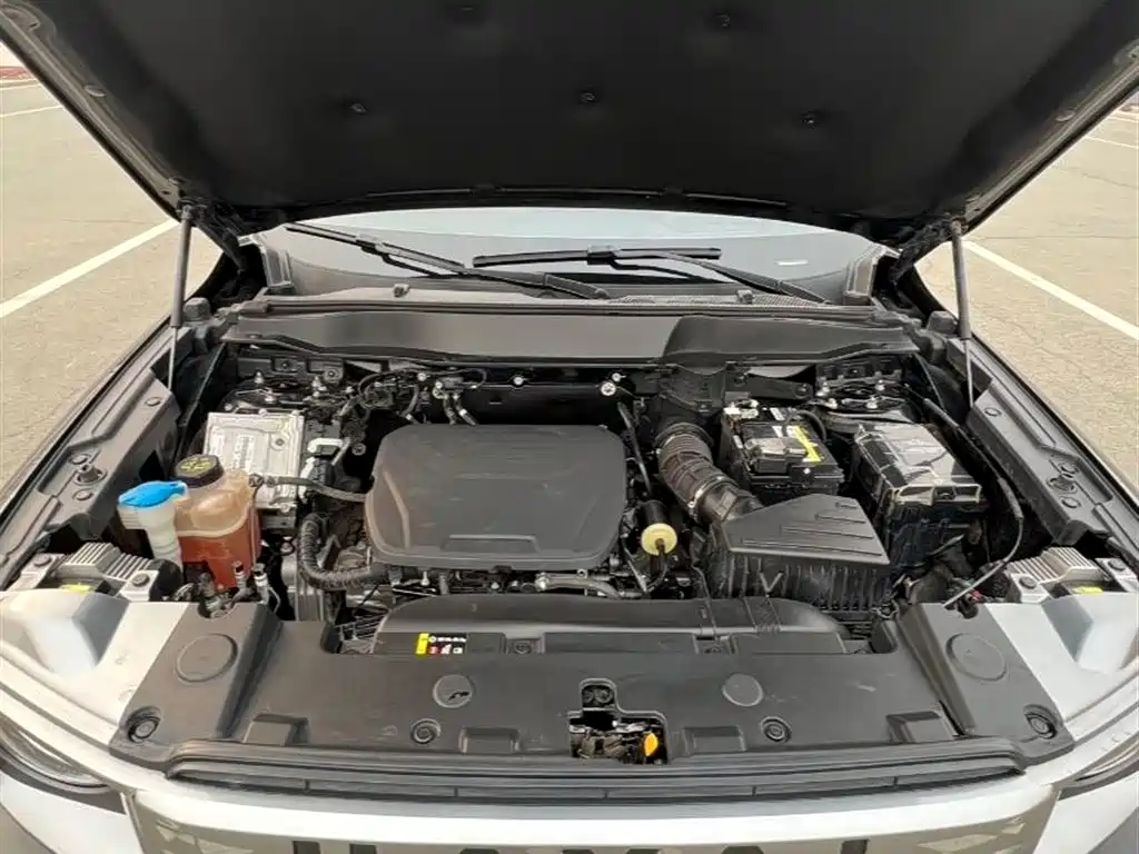 Haval Big Dog 2024 1.5T DCT Border Collie Edition фото 18