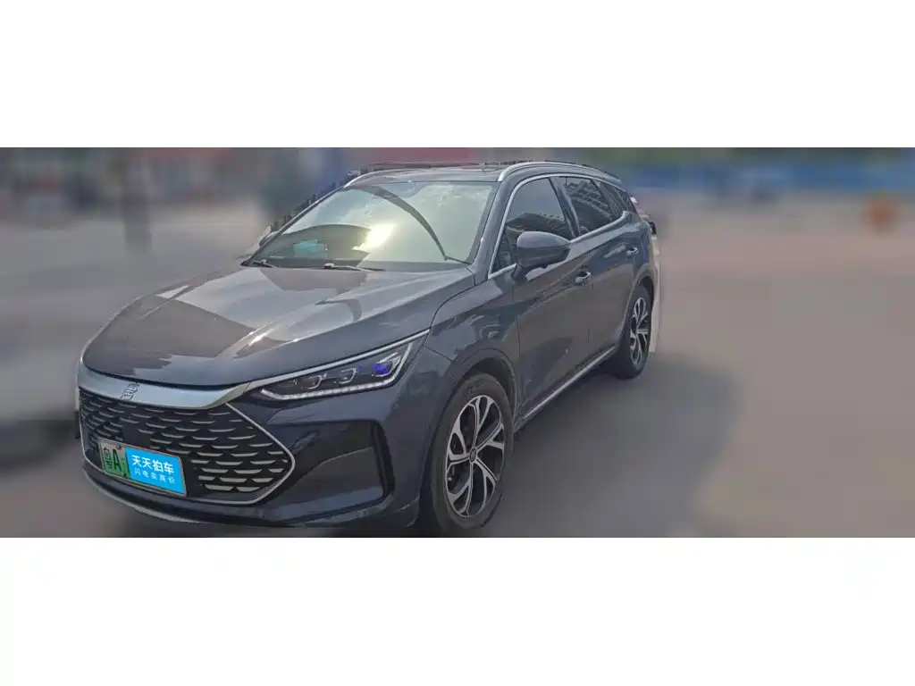 BYD Tang New Energy 2025 2025 DM-i 115KM Prestige Type