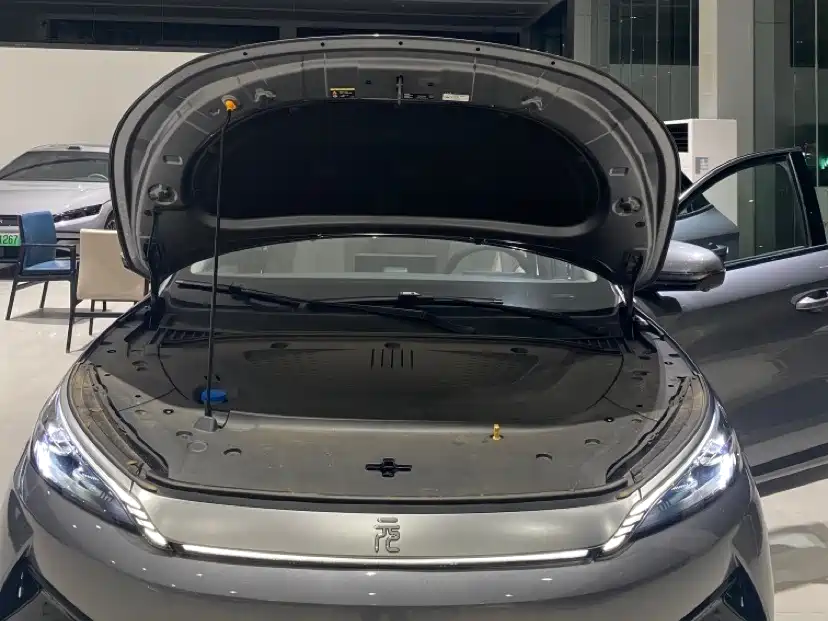 BYD Yuan PLUS 2025 Smart Drive 510KM Surpass Edition фото 13